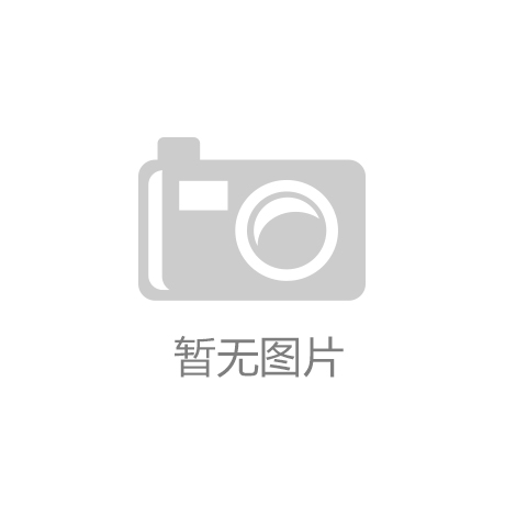 成功案例标题四