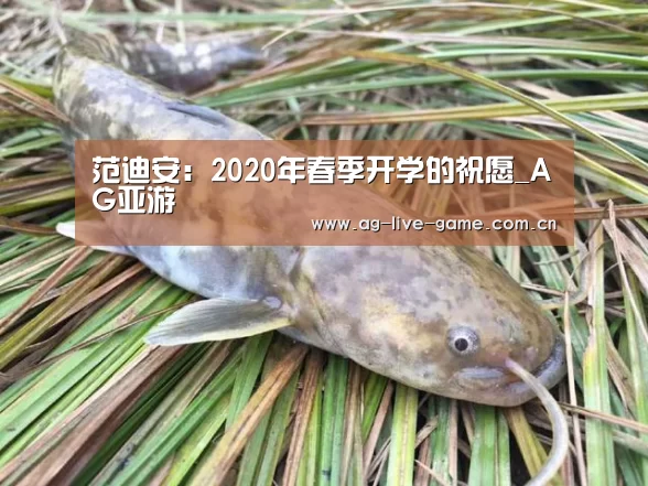 <h1>范迪安:2020年春季开学的祝愿_AG亚游(图3) AG亚游官网