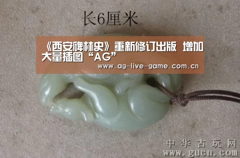 AG亚游官网入口